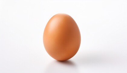 one chicken egg on white background