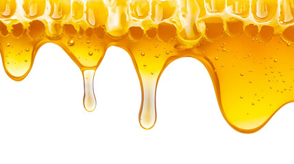 Splash honey liquid isolated transparent objects