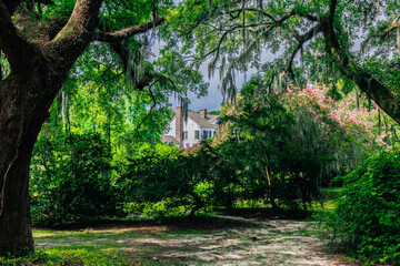 Beautiful landscape from Charles towne landing state park in Charleston, South Carolina. view through historic live oaks to plantation home in distance.