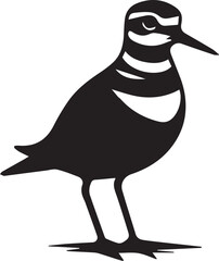 Killdeer bird black and white silhouettes vector illustration
