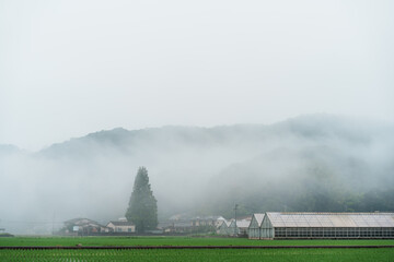 霧の中の風景