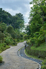 walking path in tropical botanical garden with blue sky