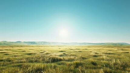 Fototapeta premium A large, open field with a bright sun shining down on it