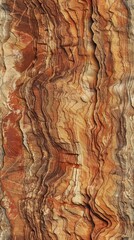 A captivating stone texture featuring rich colors and intricate patterns
