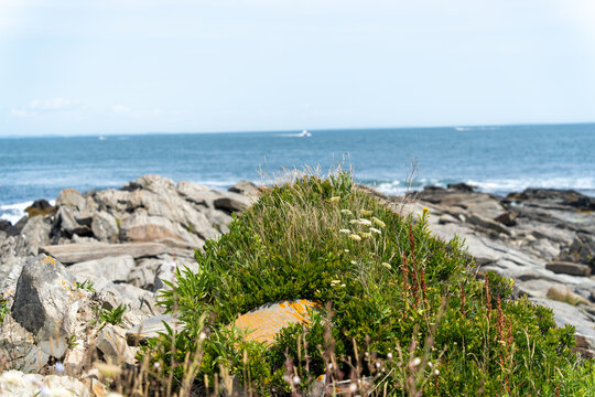 rocks and sea