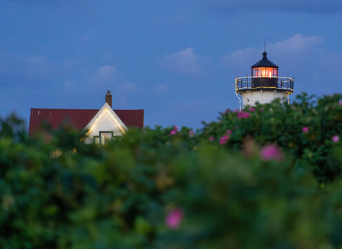 Light house garden 