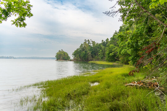 Costline Marsh 