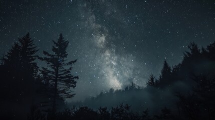 Naklejka premium Stunning Night Sky with Countless Stars and Milky Way Galaxy Nature s Beauty in Focus