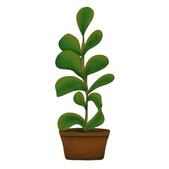 hand drawn of plant illustrationa in a pot, for element design