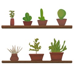 hand drawn of plant illustrationa in a pot, for element design