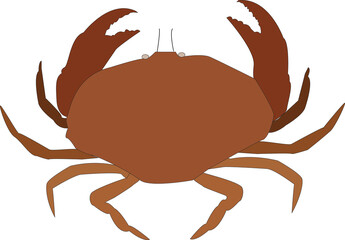 A vector art of a crab.