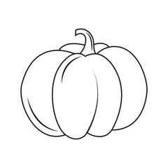 Vector illustration of pumpkin line art for digital element or coloring book. Pumpkin vegetable outline autumn. Thanksgiving Day illustration with pumpkin vegetable composition. Simple vector banner