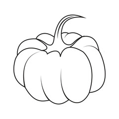 Vector illustration of pumpkin line art for digital element or coloring book. Pumpkin vegetable outline autumn. Thanksgiving Day illustration with pumpkin vegetable composition. Simple vector banner