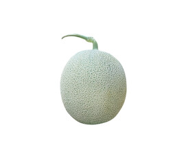Green cantaloupes or fresh rock melon with stem isolated on white background , clipping path
