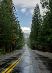 Obraz premium Sequoia Highway in the California Sierras. Slick, dark road after a rain the the mountains. Imposing snow capped peak in the distance at the end of the trail of redwood trees