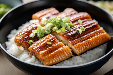 Close-up of Unagi Don, a Japanese Dish with Grilled Eel and Rice