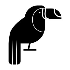 toucan Solid icon