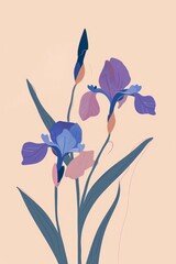 minimalistic irises illustration