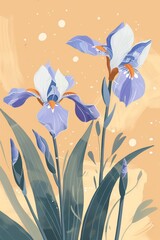 minimalistic irises illustration