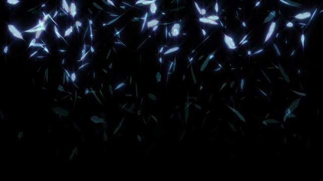 Colorful feather falling against black screen insert overlay -4K Seamless Loop Animation