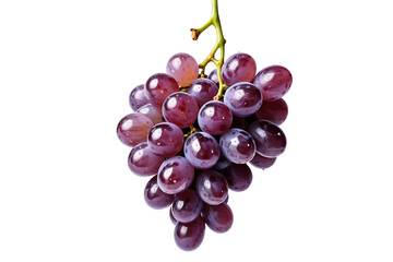 Fototapeta premium Juicy Purple Grape Bunch