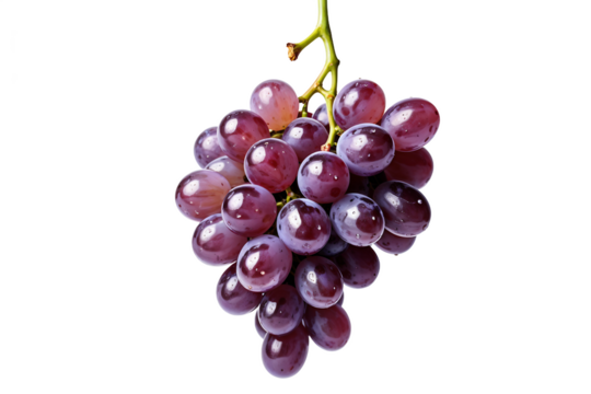 Juicy Purple Grape Bunch