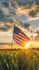 Close-Up of Hands Holding American Flag Over Wheat Field at Sunset
