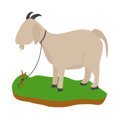 Goat in the grass vector