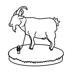 Goat in the grass vector
