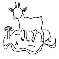 Goat in the grass vector