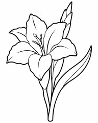 Line art of Gladiolus flower 