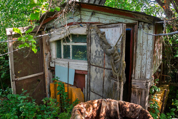 Old, old house among green foliage