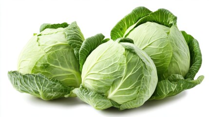 Fototapeta premium cabbage isolated on white background, clipping path, full depth of field