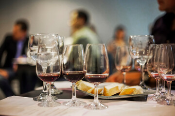 Wine Tasting Event with Blurred Background