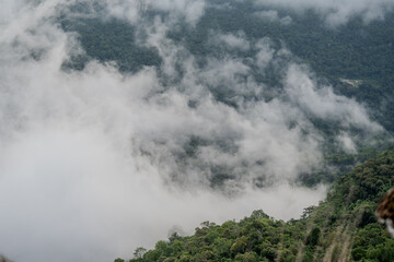 The sky is covered in clouds, and the trees are lush and green