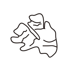 Ginger Outline Style Doodle