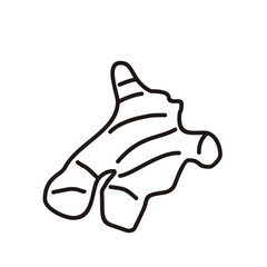 Ginger Outline Style Doodle