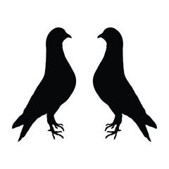 pigeon silhouette vector design in black on a white background