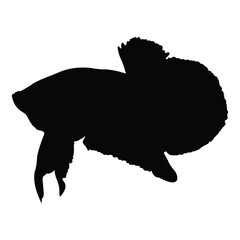 Betta fish silhouette vector design in black on a white background