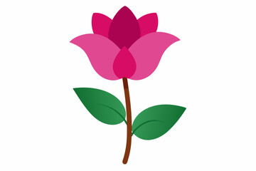 Cyclamen Flower vector illustration 