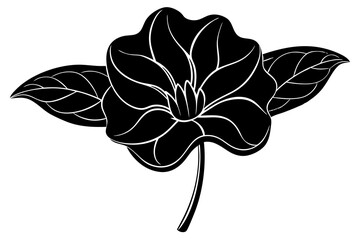 Cyclamen flower silhouette vector illustration 
