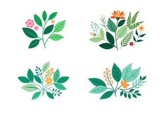 Botanical Leaves and Floral Elements on Transparent Background, Floral Botanical Illustration