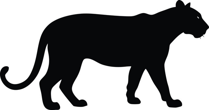Black panther silhouette vector illustration 