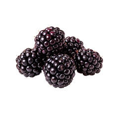 Glossy Blackberries