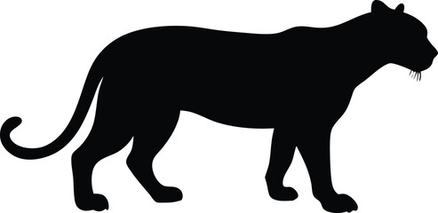 Black panther silhouette vector illustration 