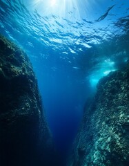 Fototapeta premium Below the surface of the deep blue sea
