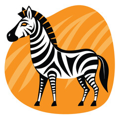 Obraz premium Black and White Zebra Standing on Orange Background