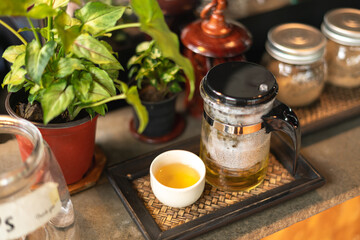 Tea set with a glass pot of brewing tea, a small cup, and potted plants on a wooden tray.