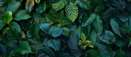 Close-up texture of tropical foliage with sharp focus and vivid colors.