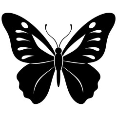 Butterfly silhouette vector illustration on a white background